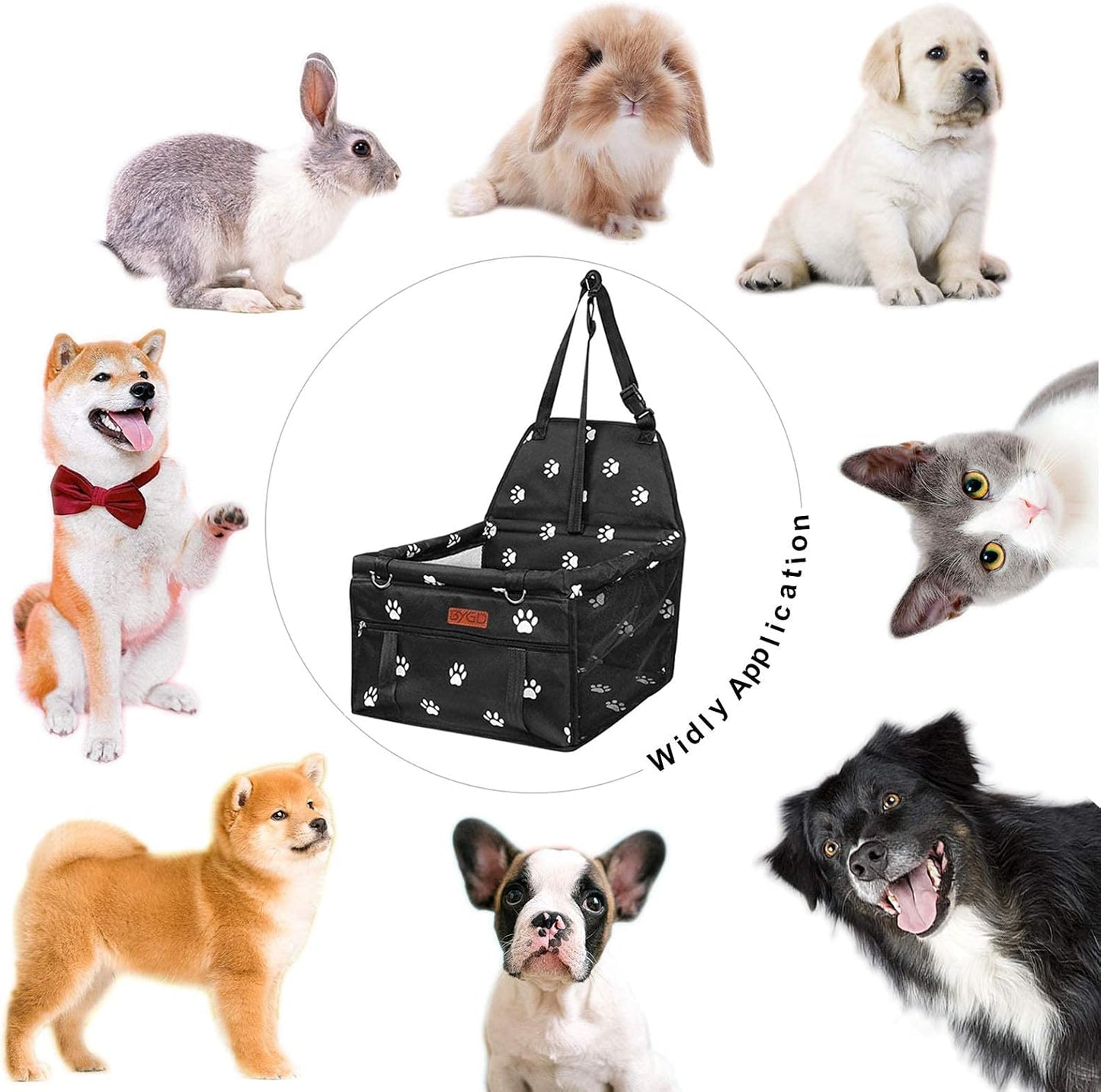 Seggiolino Auto Sicuro per Cani