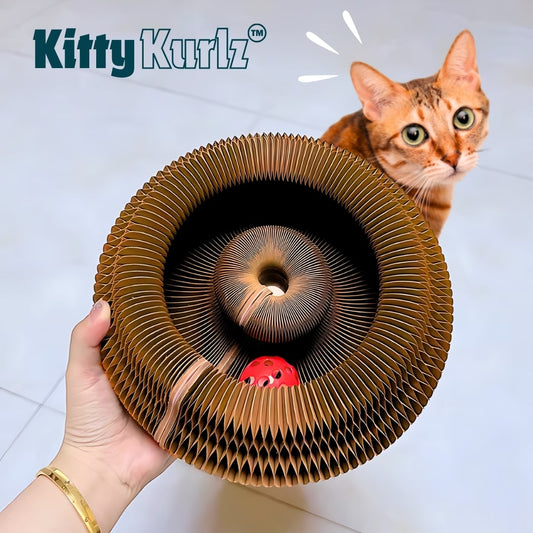 Kitty Playground Ball Track