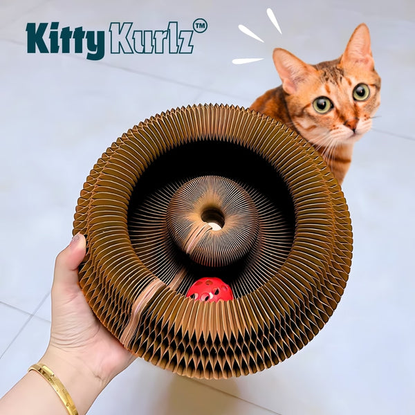 Kitty Playground Ball Track